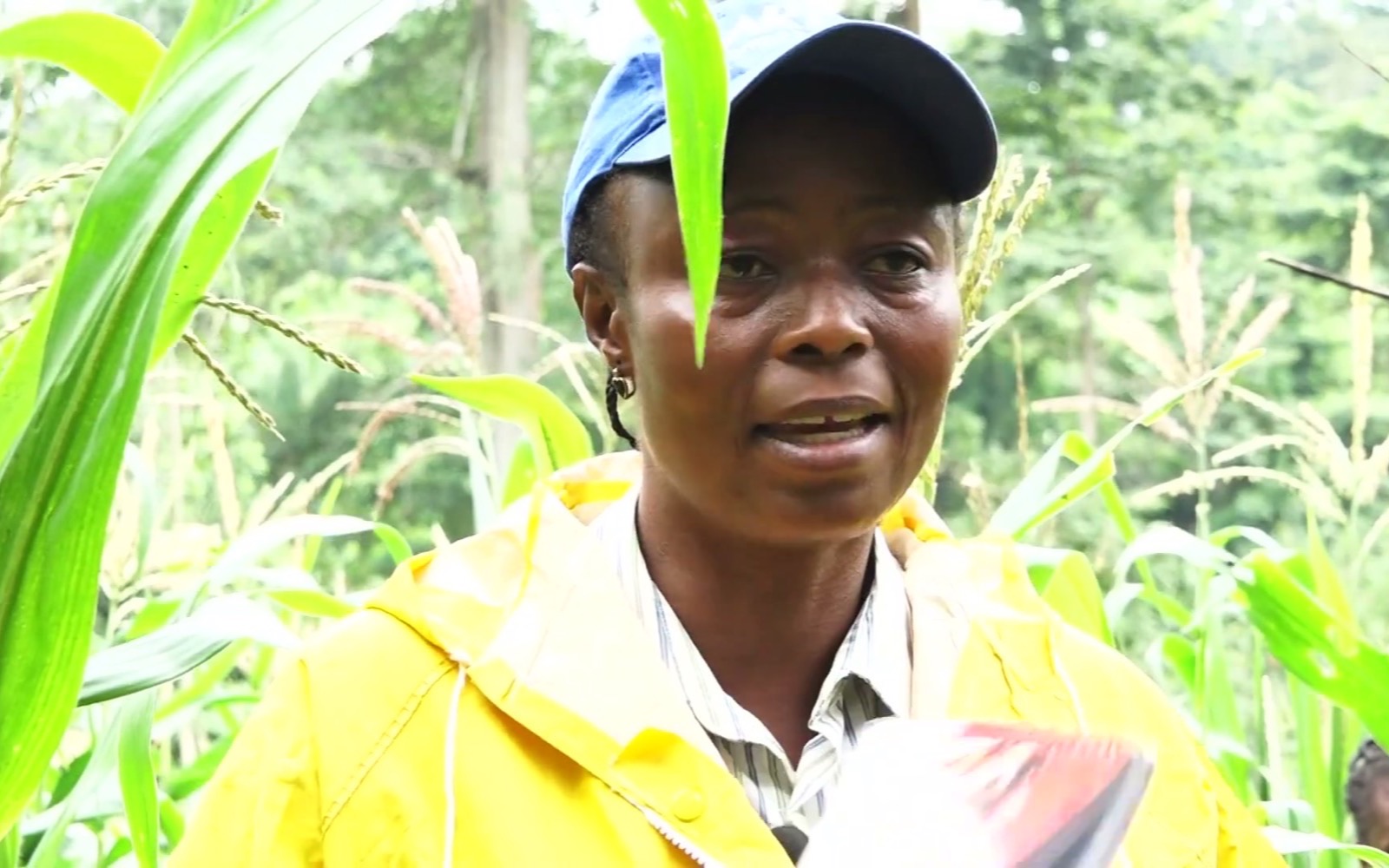 POWER: Promoting Opportunities for Women Empowerment and Rights